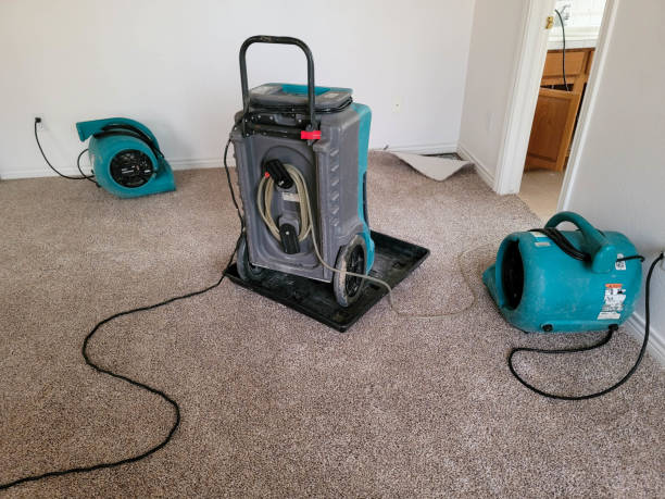 Best Commercial water damage restoration  in Henderson, LA