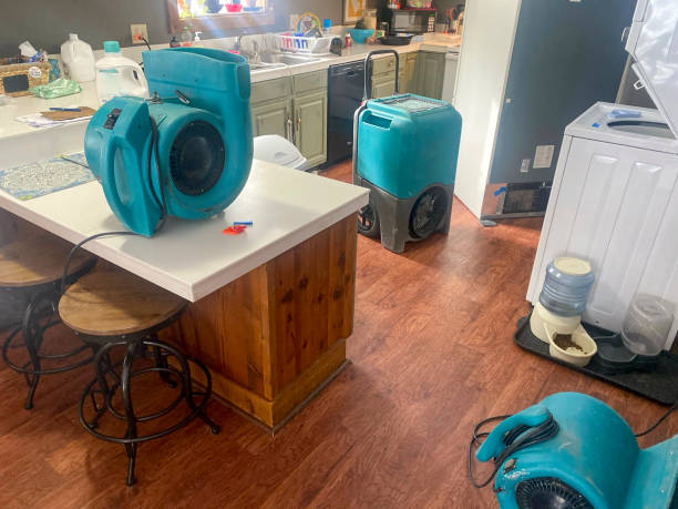 Best Water damage restoration process  in Henderson, LA