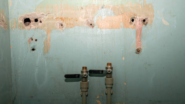 Best Water damage contractors near me  in Henderson, LA
