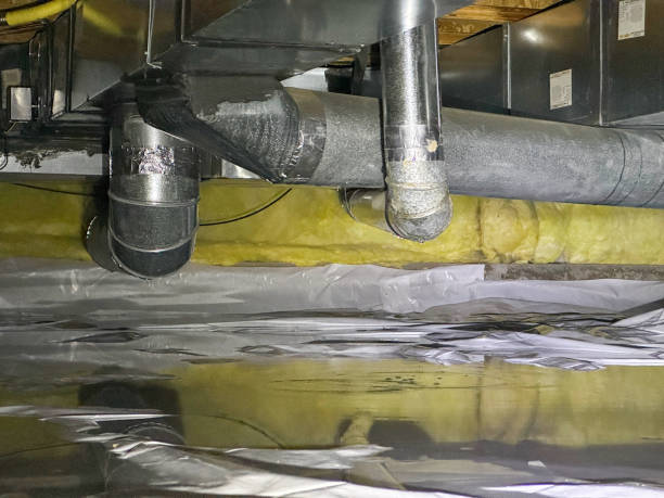 Best Ceiling water damage repair  in Henderson, LA