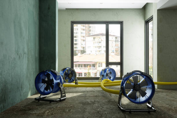 Best 24-hour water damage restoration  in Henderson, LA