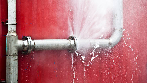 Best Flood damage cleanup  in Henderson, LA