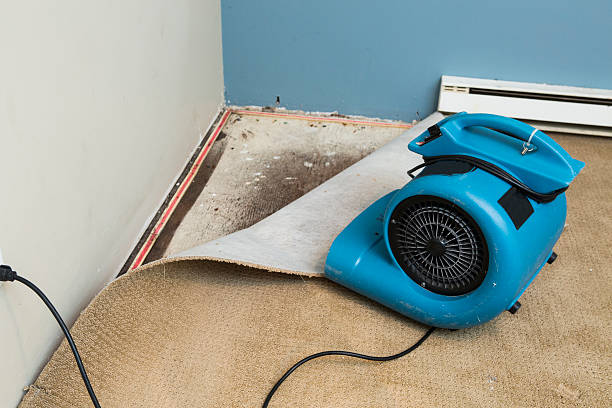 Trusted LA Water damage restoration Experts